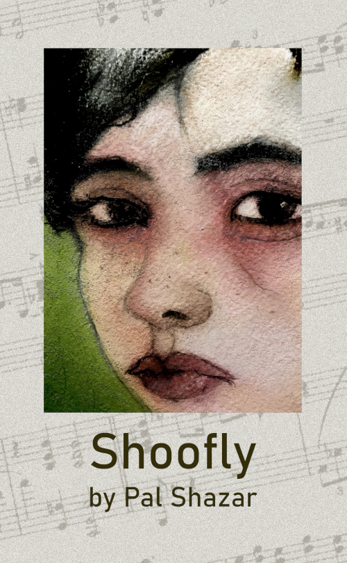 Shoofly book cover